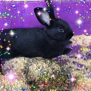 Meet your Posher, Kay